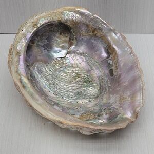 Natural Large Abalone Shell Iridescent Mother of Pearl Smudging Bowl Decor
